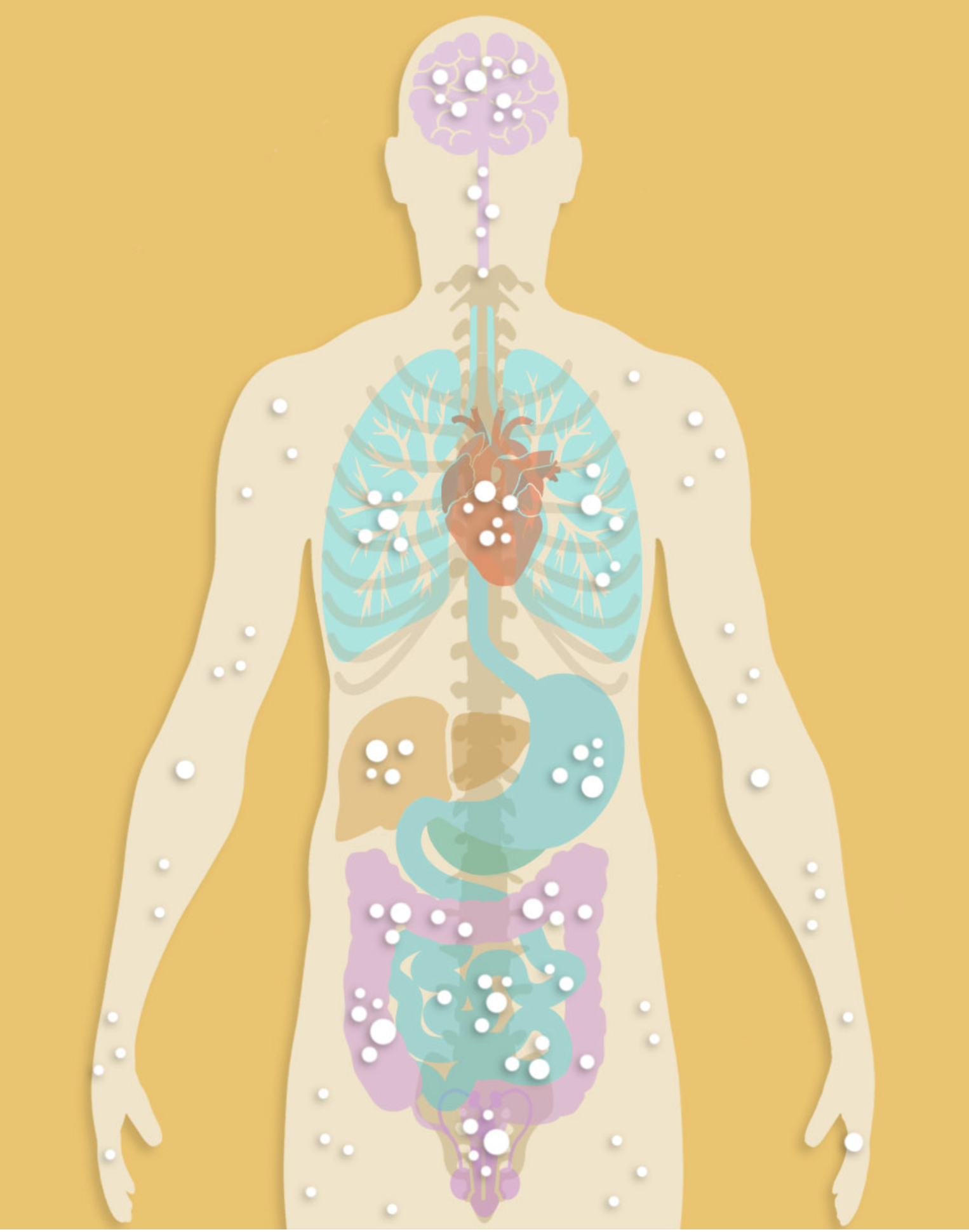 Entourage Effect,Phytocannabiniods,Full Spectrum